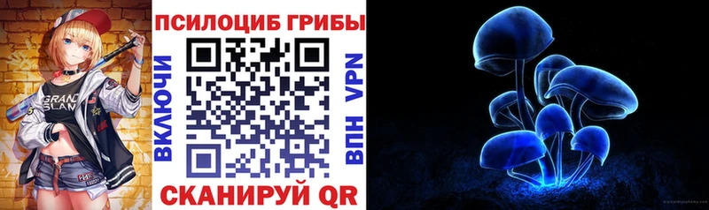Купить закладки  Сурск  Галлюциногенные грибы мицелий 